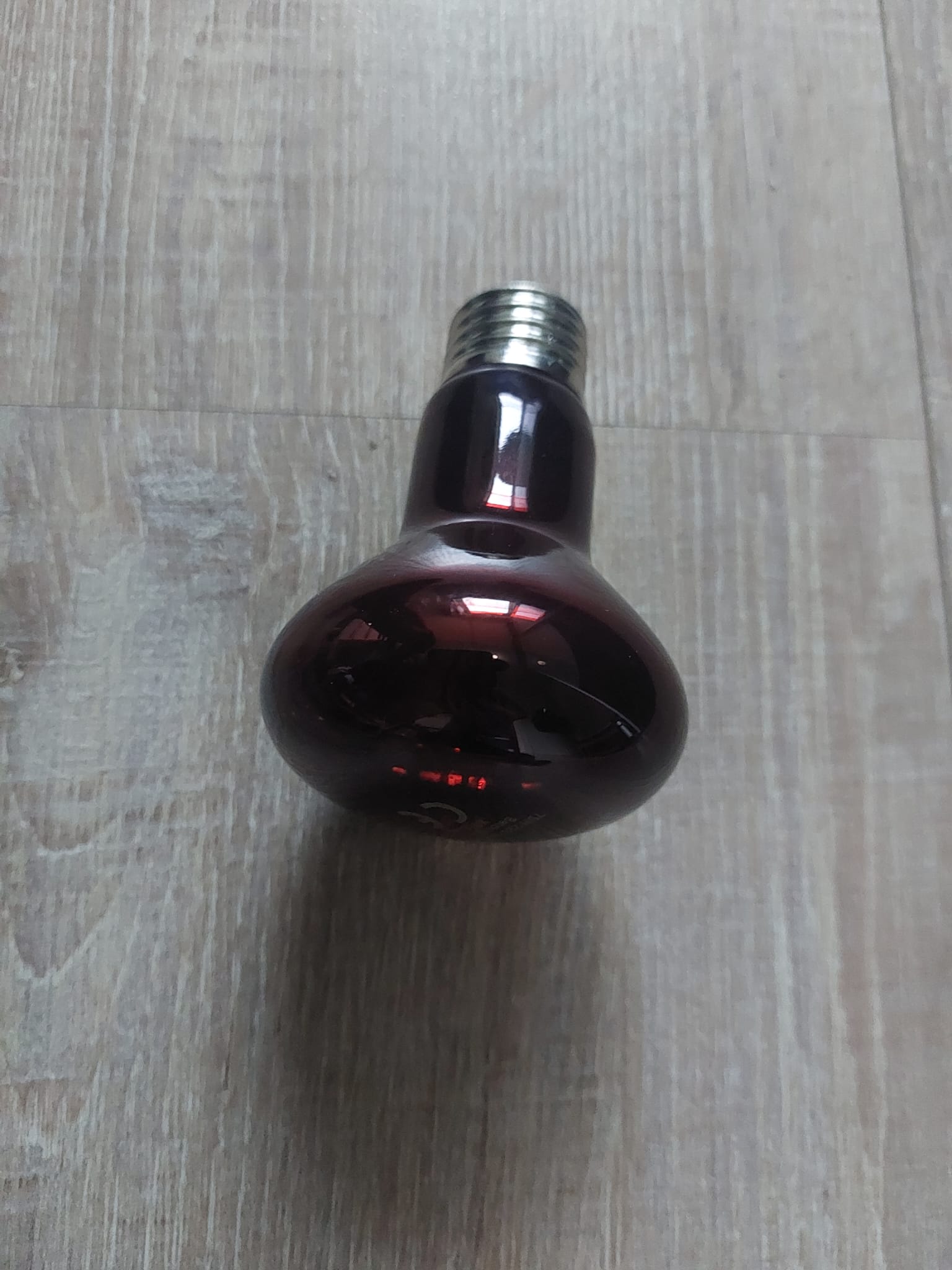 Warmtelamp 75 watt, 220-240V|Voor kuikens en andere dieren