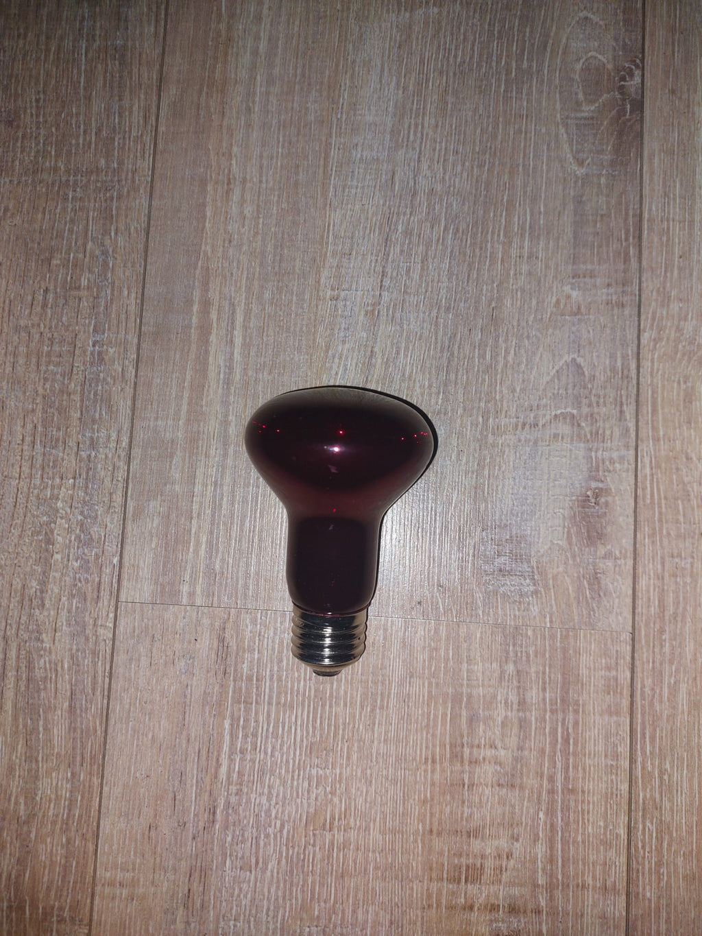 Warmtelamp 75 watt, 220-240V|Voor kuikens en andere dieren