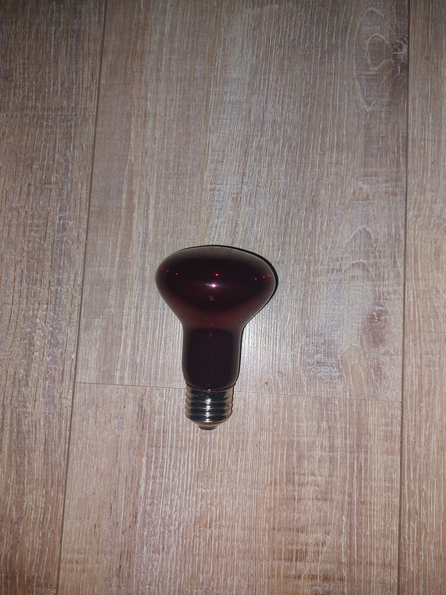 Warmtelamp 75 watt, 220-240V|Voor kuikens en andere dieren