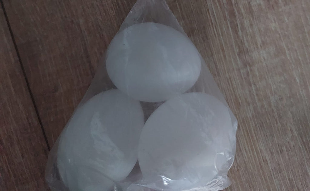 nep kippen eieren wit van plastic