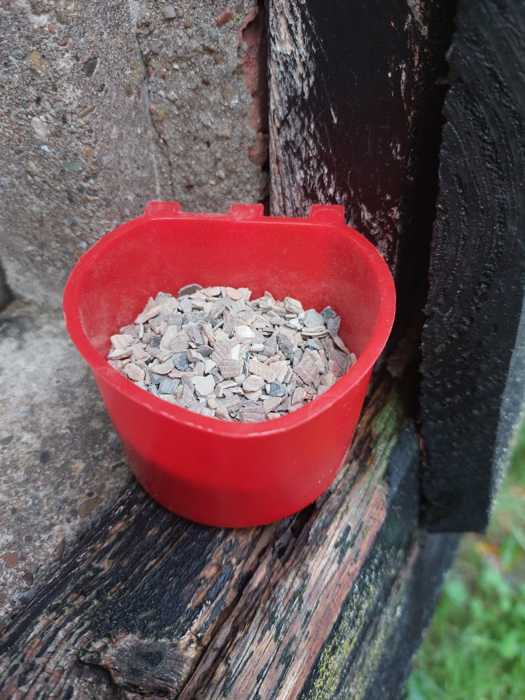 Kippen grit bak | kippen en kuiken voer/grit bakje 300ml