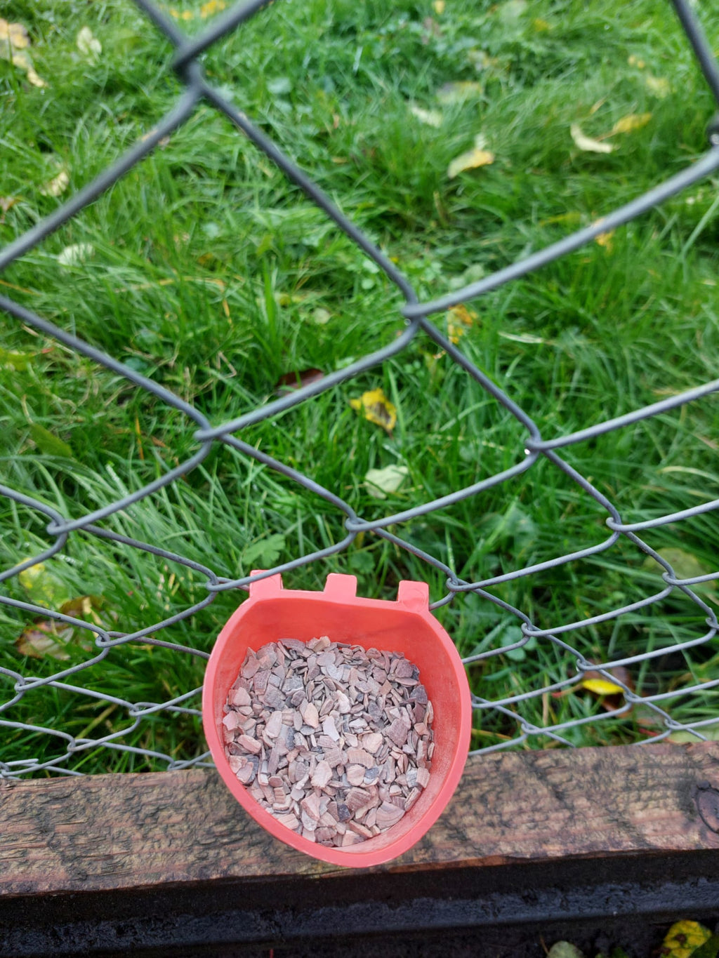 Kippen grit bak | kippen en kuiken voer/grit bakje 300ml